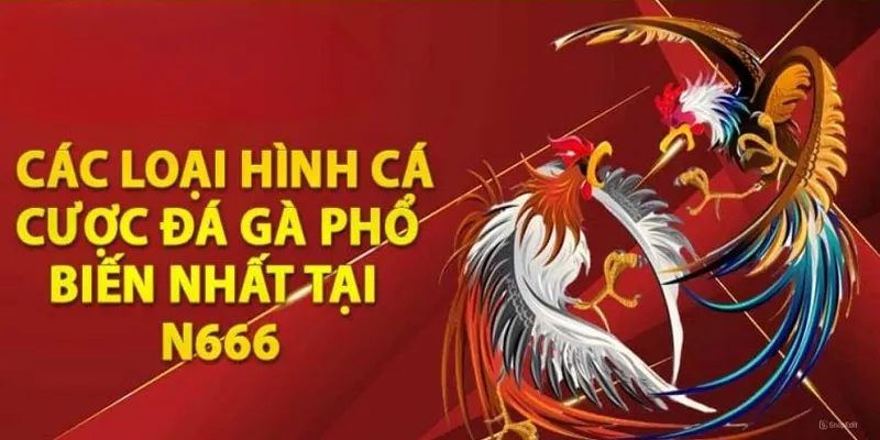 Các Loại Hình Cá Cược Đá Gà Tại N666