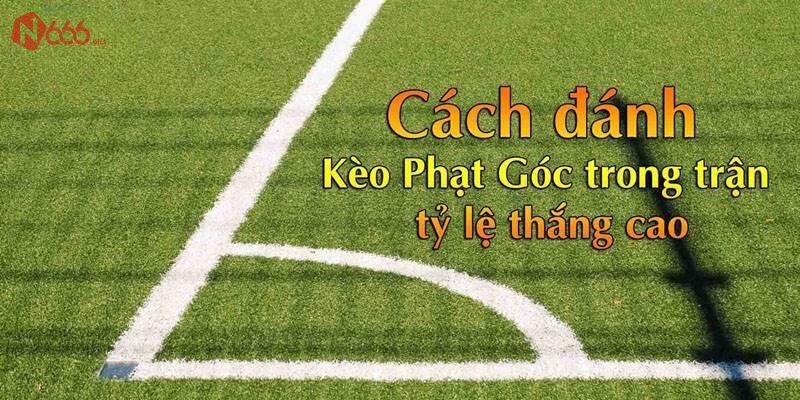 cách xem tỉ lệ phạt góc